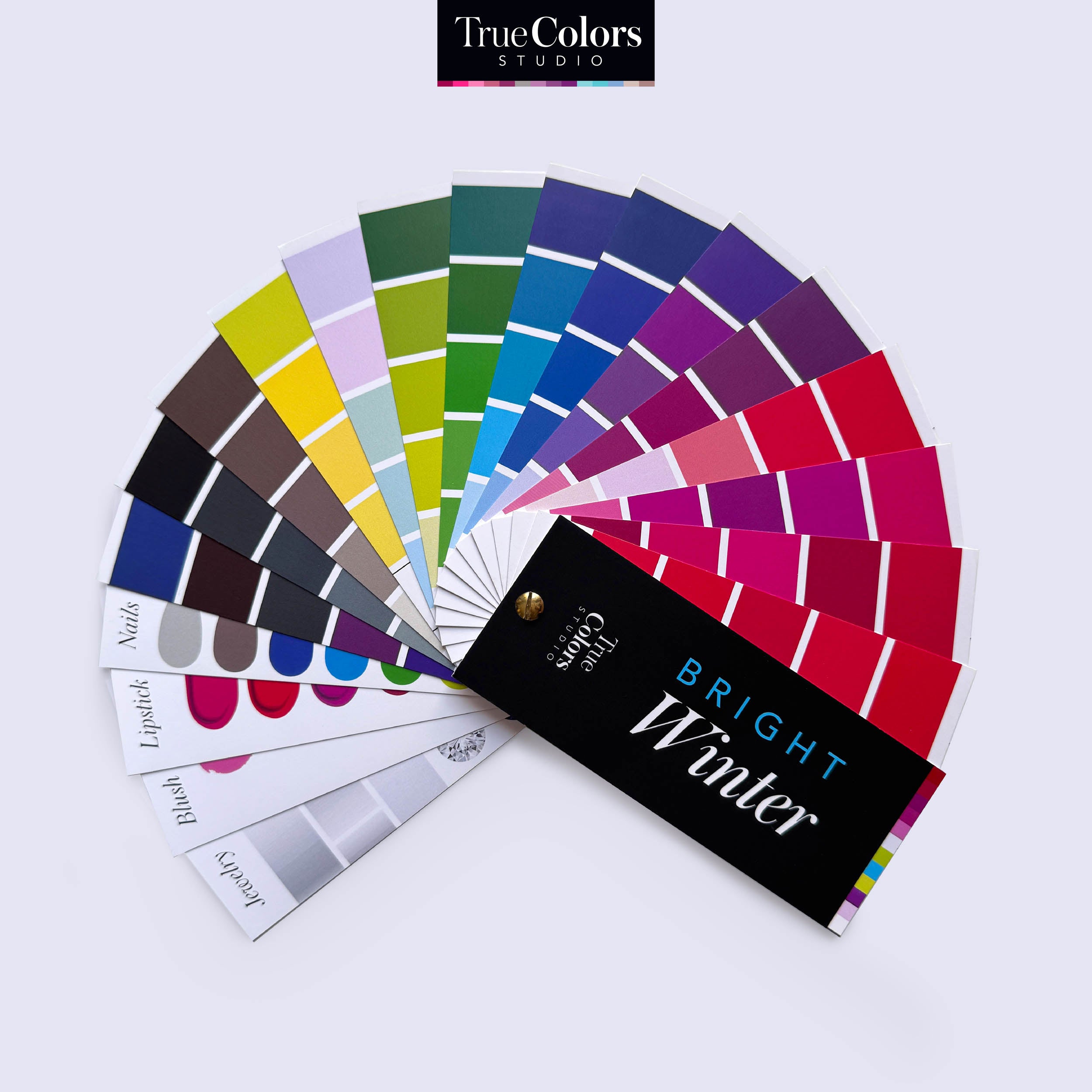 Bright Winter Color Palette Fan For Shopping