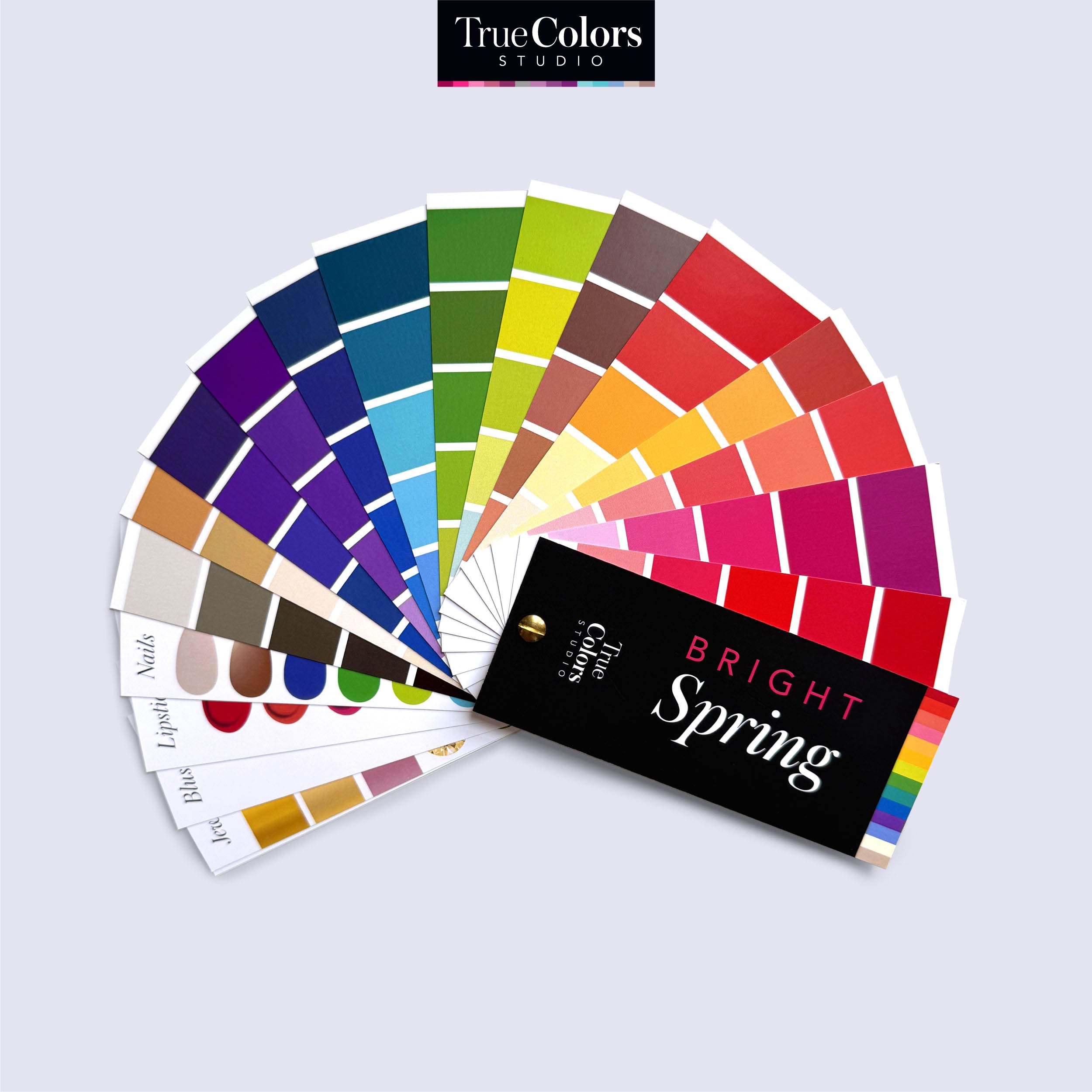 Bright Spring Color Palette Fan For Shopping