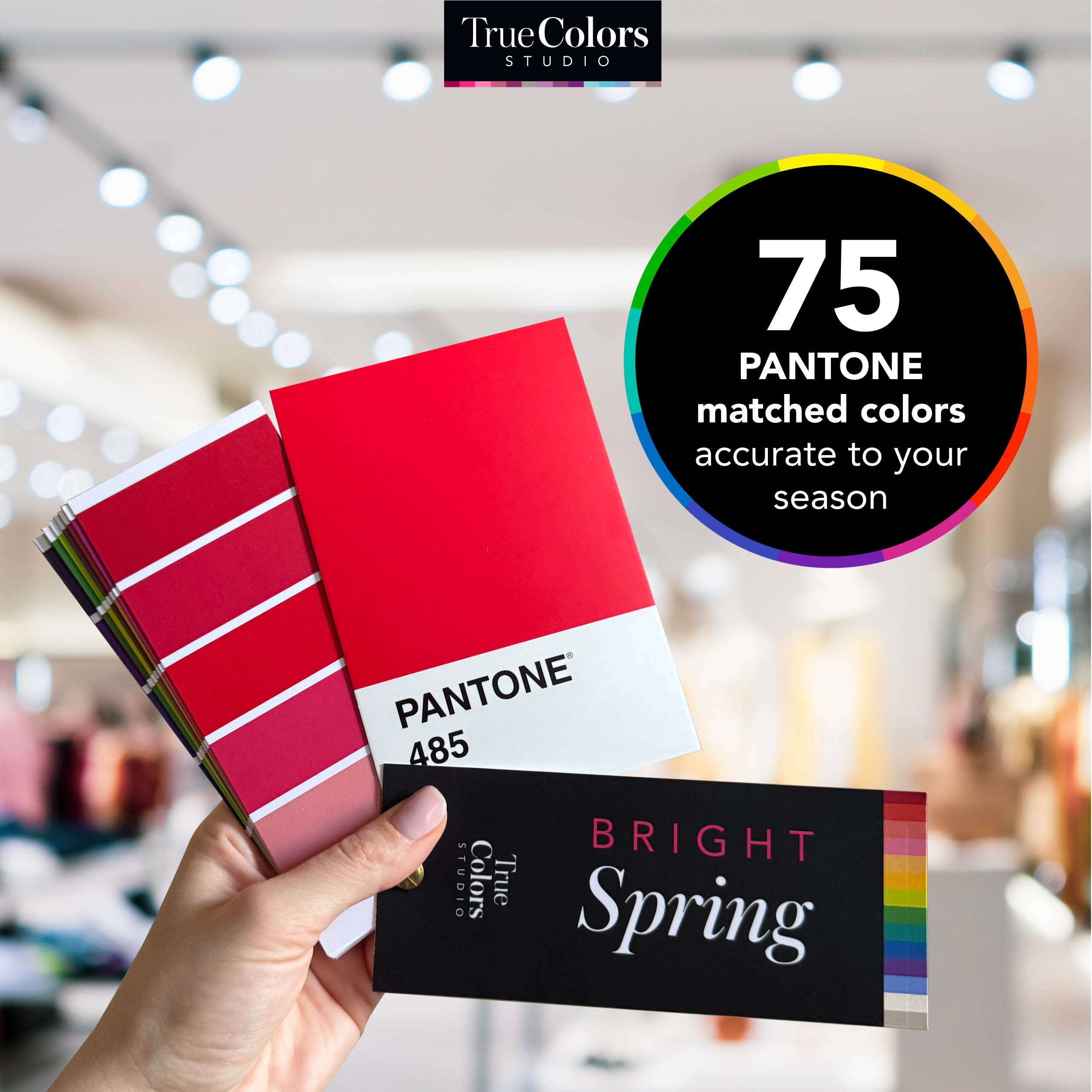 Bright Spring Color Palette Fan For Shopping