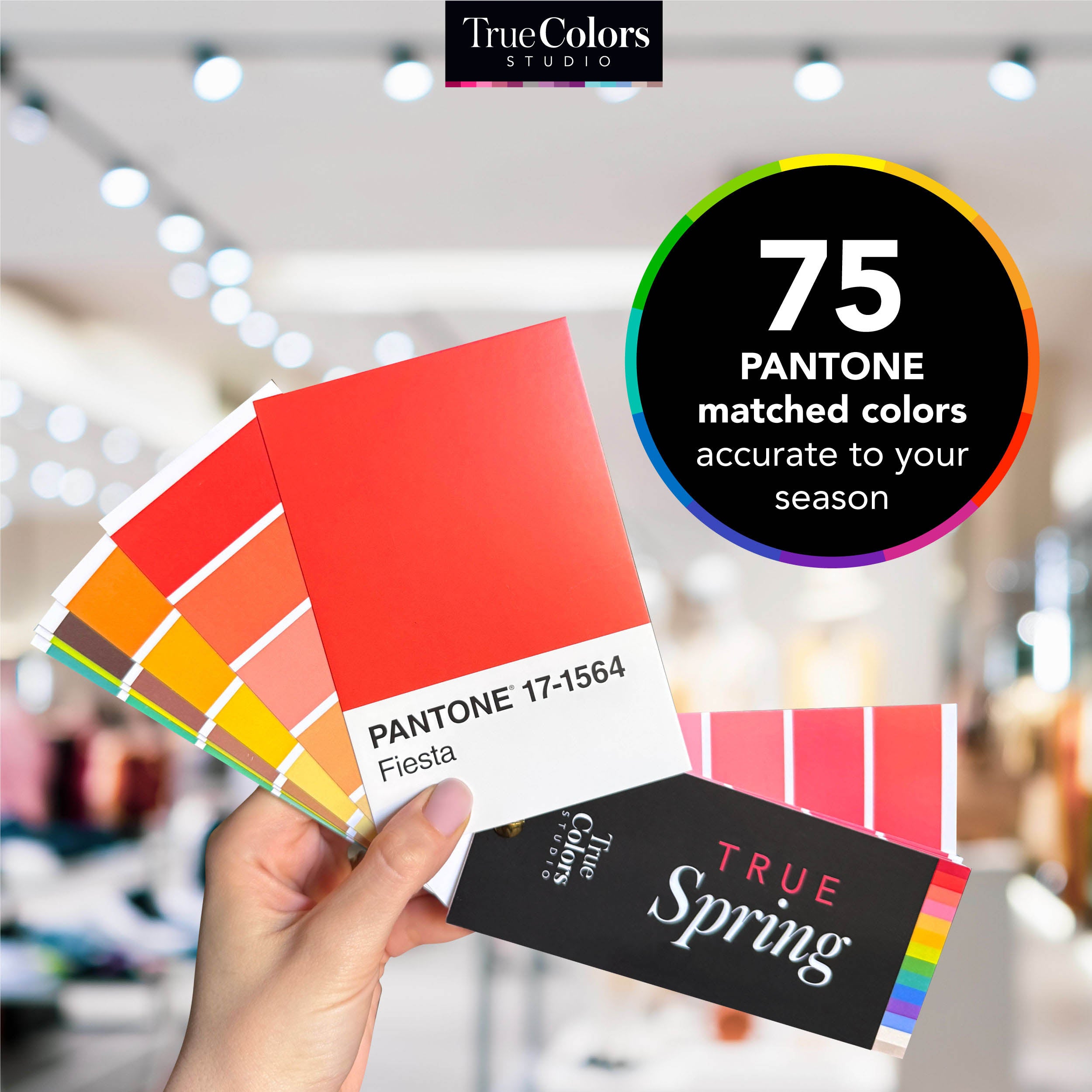 True Spring Color Palette Fan For Shopping