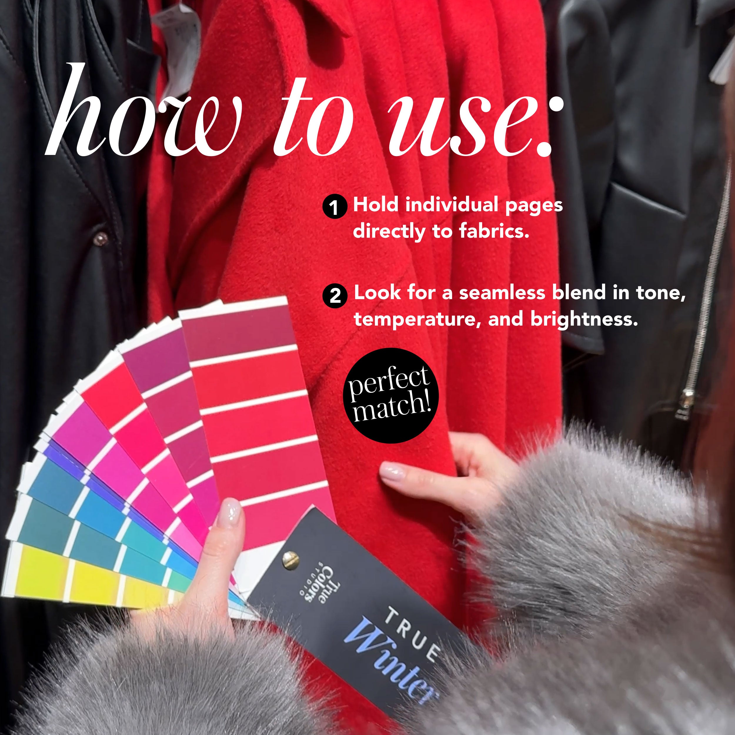 True Spring Color Palette Fan For Shopping