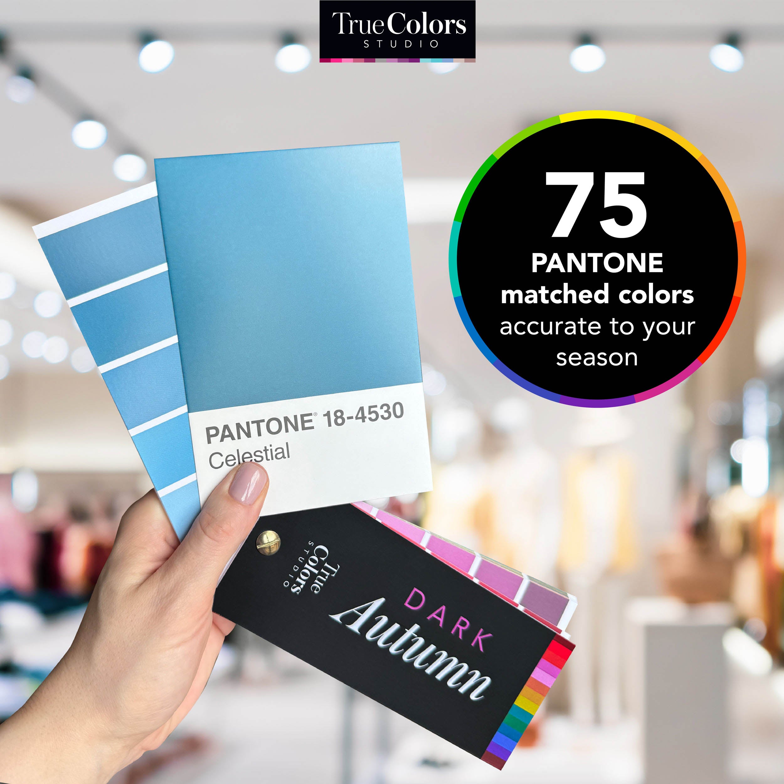 Dark Autumn Color Palette Fan For Shopping