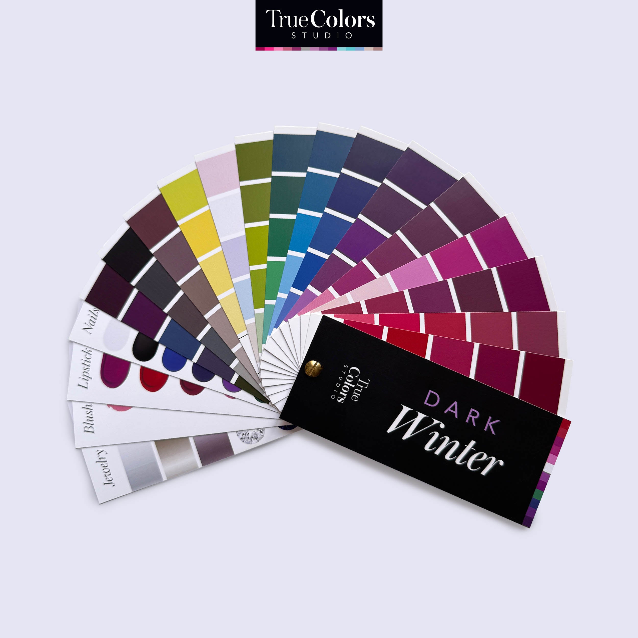 Dark Winter Color Palette Fan For Shopping