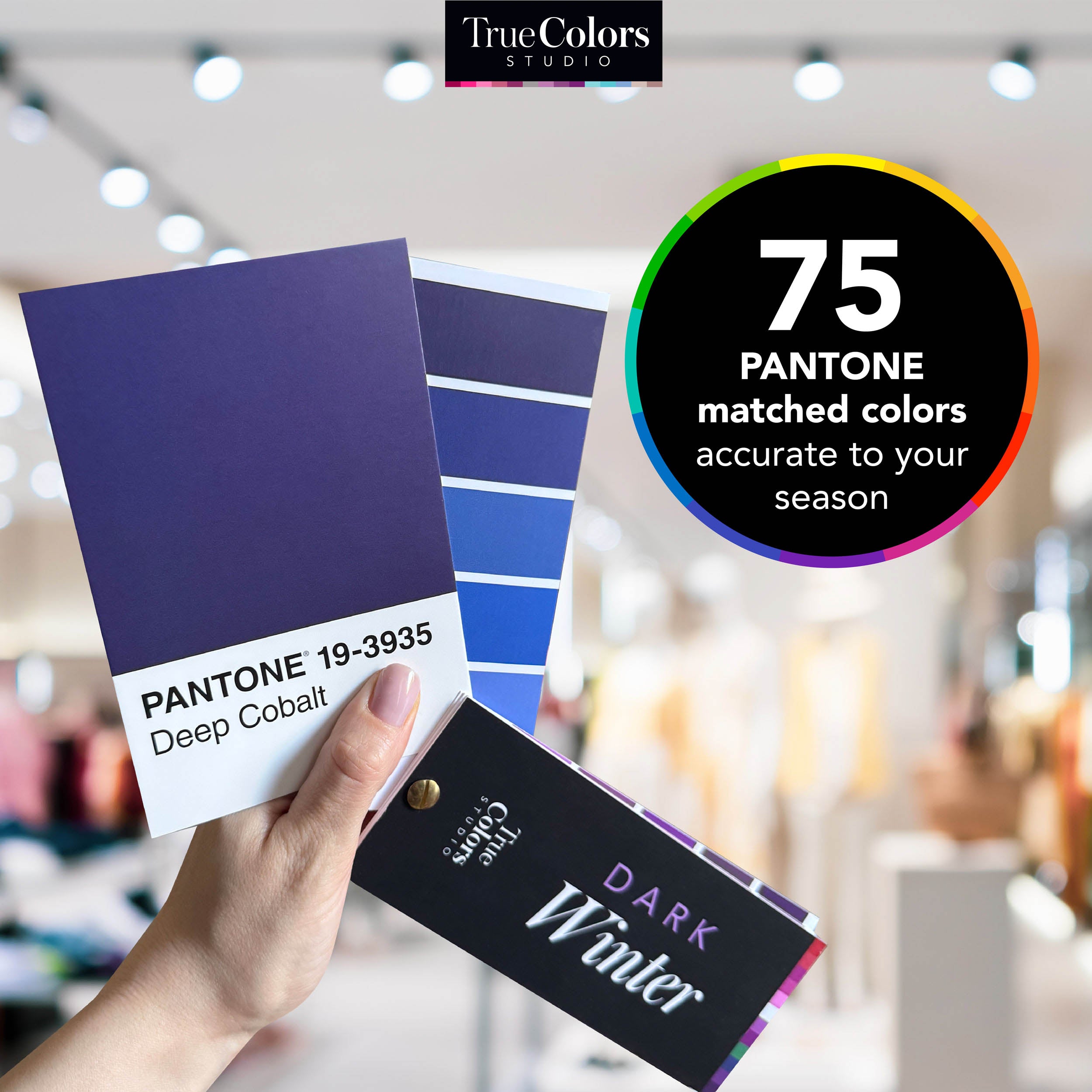 Dark Winter Color Palette Fan For Shopping – True Colors Studio