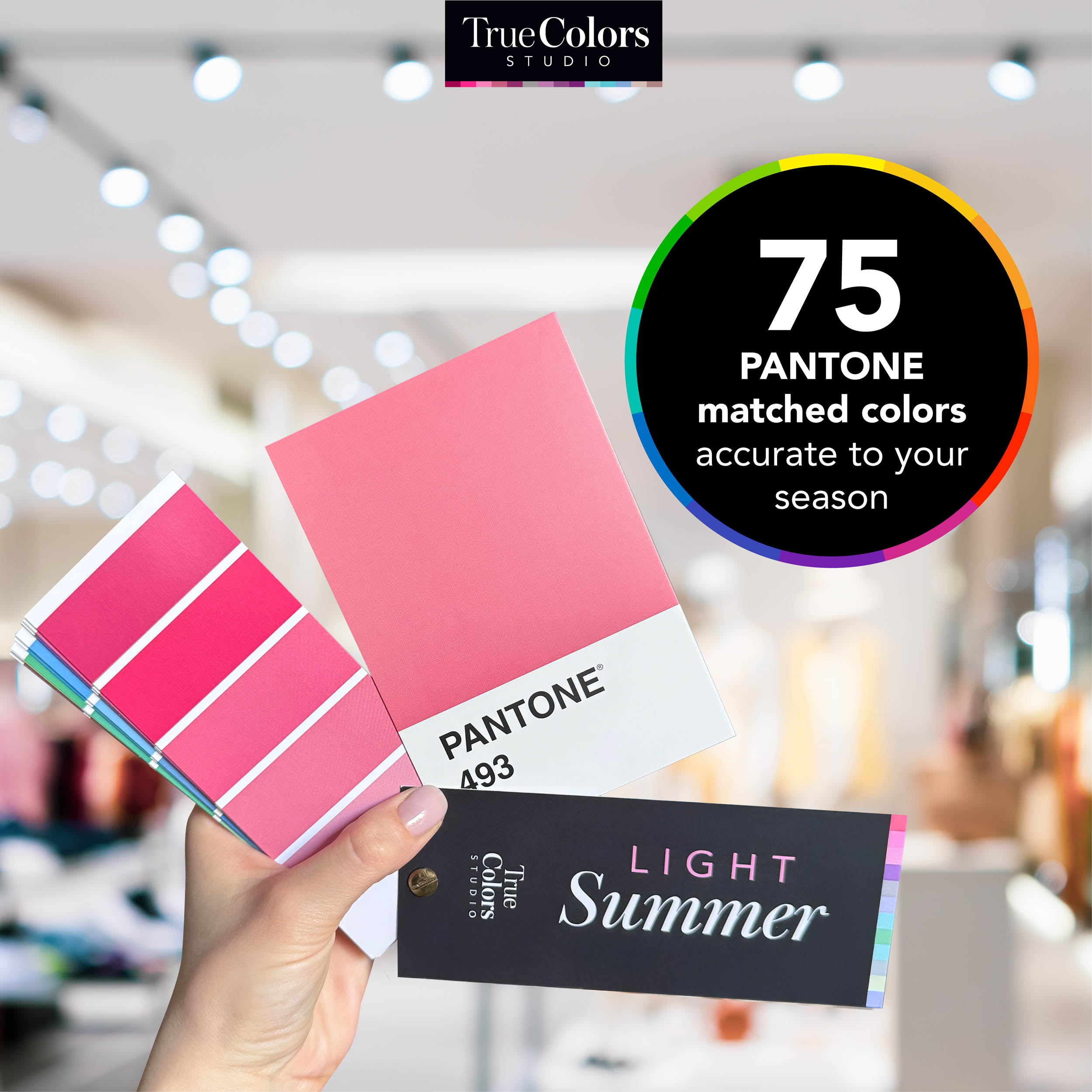 Light Summer Color Palette Fan For Shopping