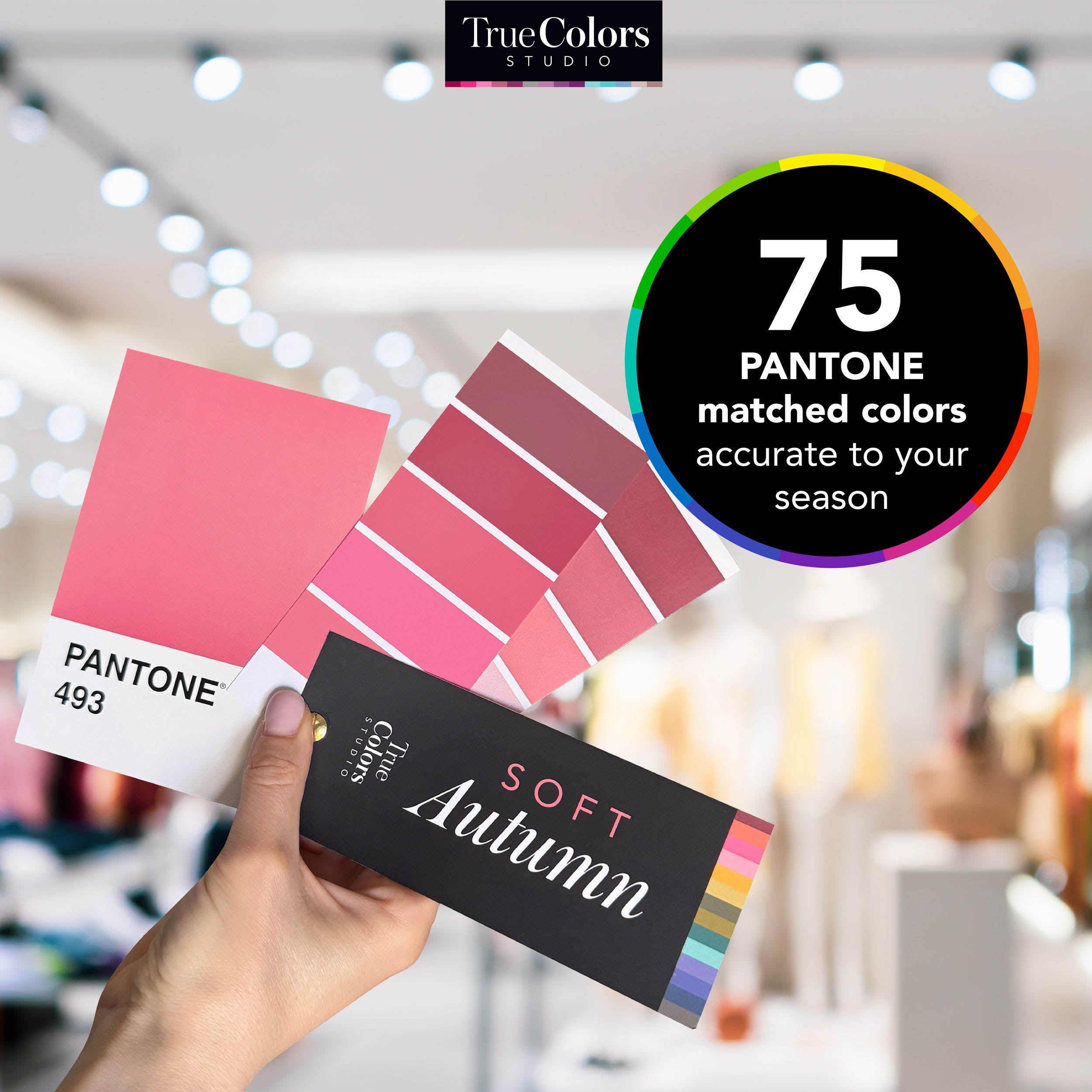 Soft Autumn Color Palette Fan For Shopping