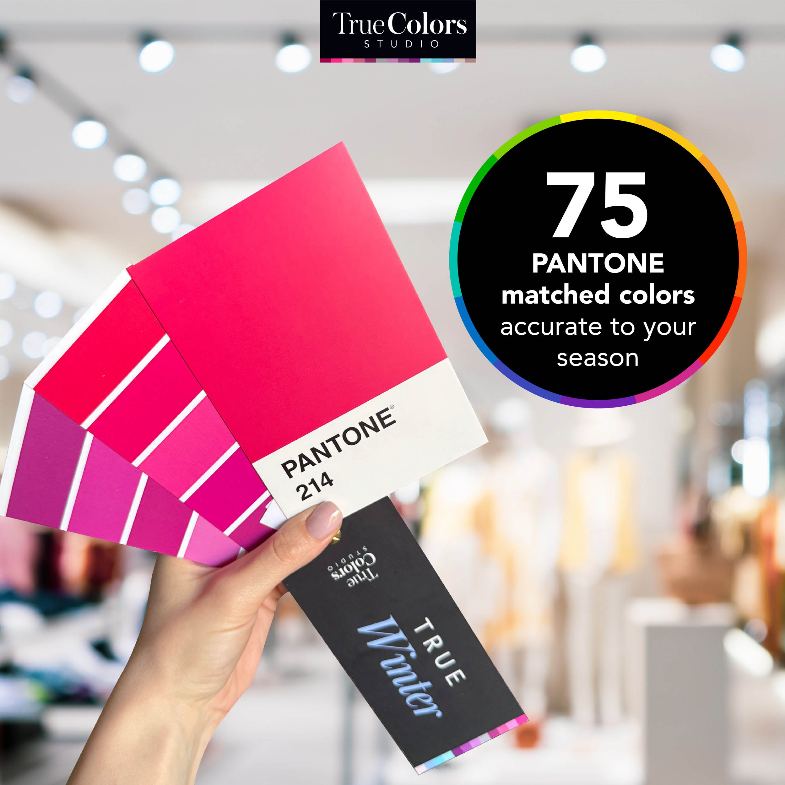 True Winter Color Palette Fan For Shopping