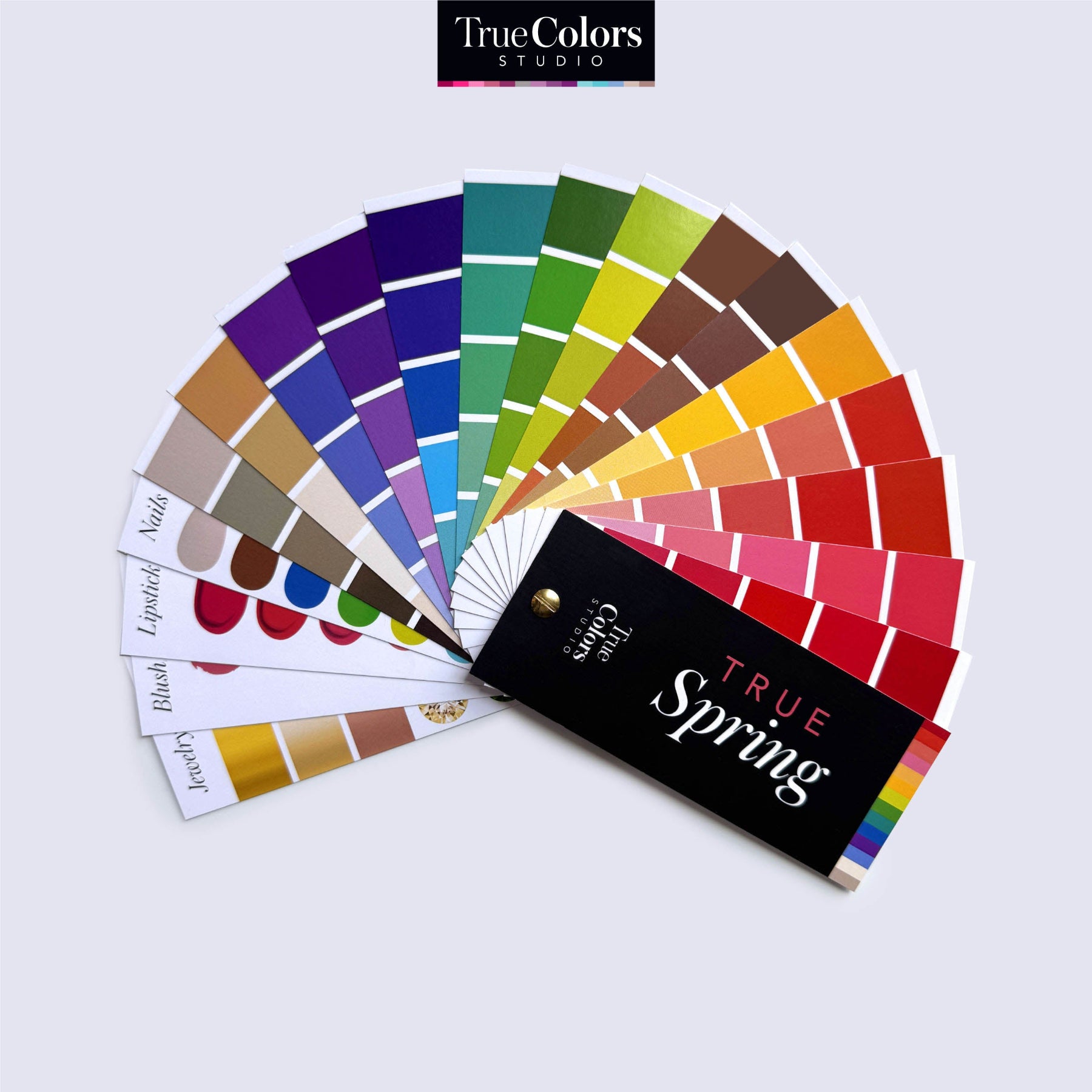 True Spring Color Wheel Color Analysis Fans – True Colors Studio